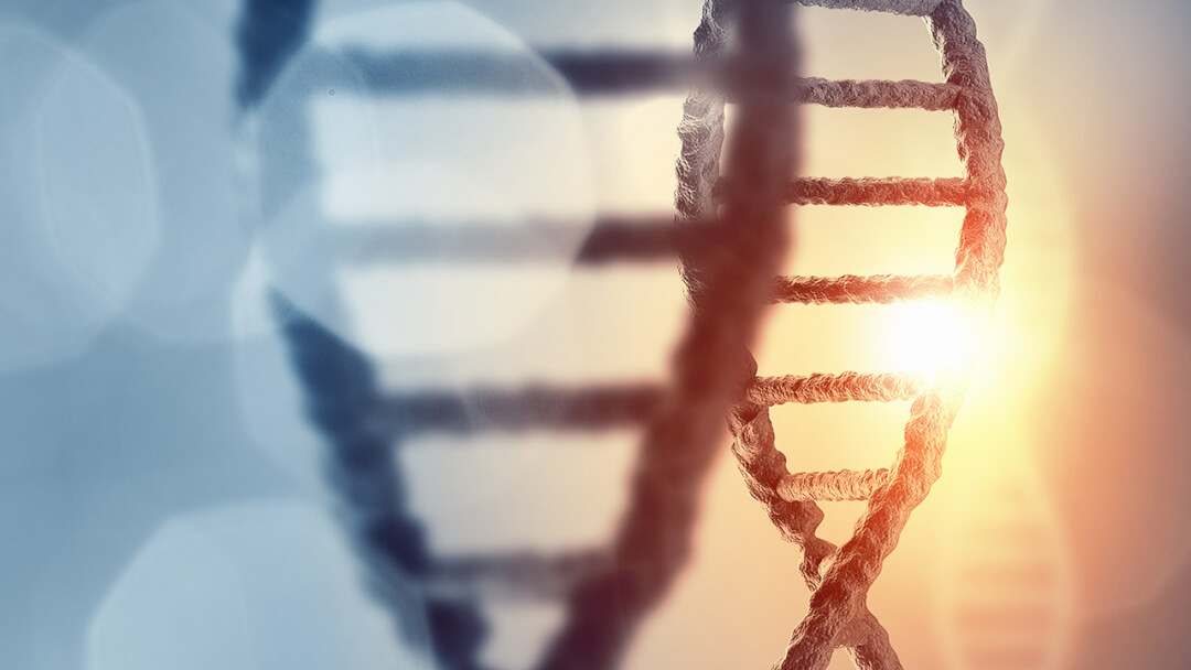 CRISPR-Cas9 identifica un gen clave para el desarrollo embrionario