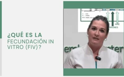 ¿Qué es la Fecundación In Vitro (FIV)?