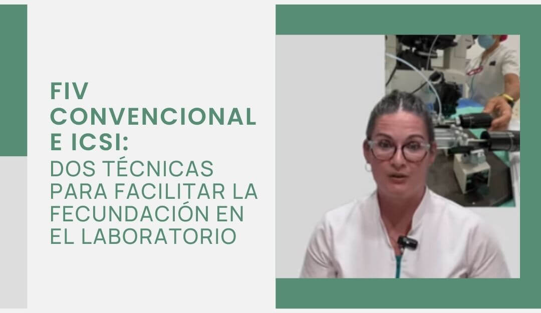 FIV Convencional e ICSI: Dos Técnicas para Facilitar la Fecundación en el Laboratorio