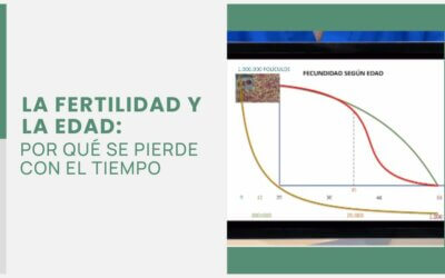 La fertilidad y la edad: por qué se pierde con el tiempo