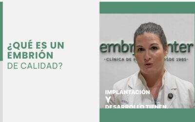 ¿Qué es un embrión de calidad?